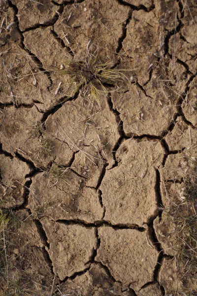 Земля после засухи Стоковое Фото