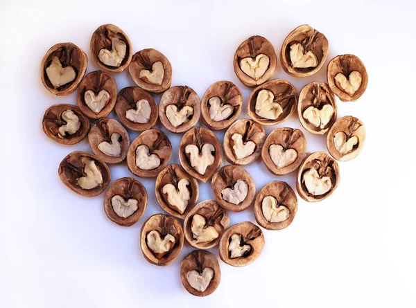 Rádi ořechy — Stock fotografie