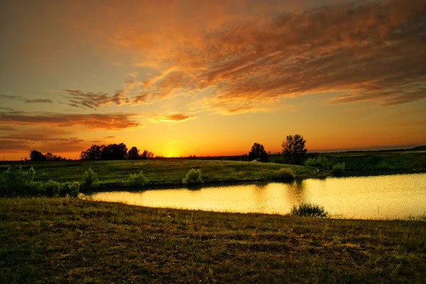 stock image Summer Evening at the lake.