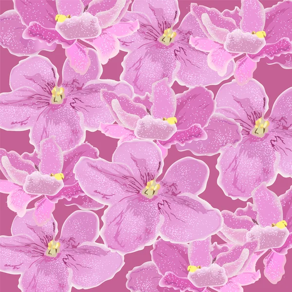 Texture Pink Pansies Vector Background Violets — Stock Vector