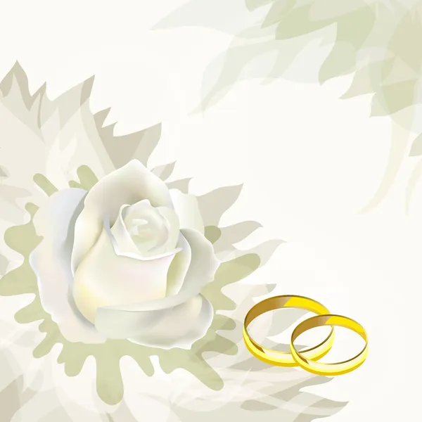 White rose and wedding rings — Stock Vector