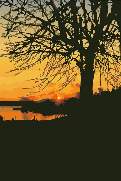 日落时的老树 夏天风景的轮廓 — 图库矢量图片