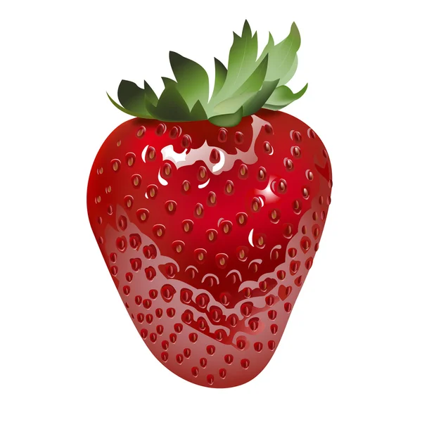 成熟的草莓 美味甜点 健康食品 — 图库矢量图片