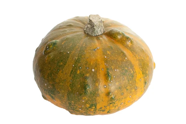 stock image Pumpkin