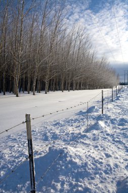 A sunny winter's scenic in rural northern Idaho. clipart