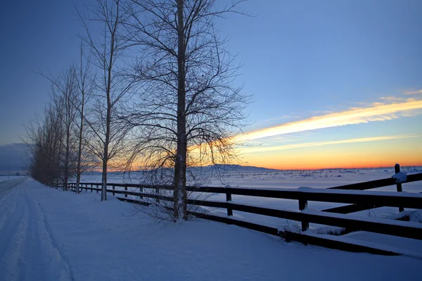 Paysage hivernal dans la prairie . — Photo