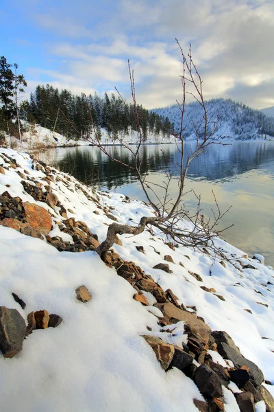 Kis fa, hóval borított sziklák. — Stock Fotó