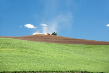 Tractor in the farm field. clipart