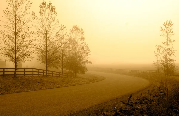 Country road in morning haze. — Stock Photo, Image