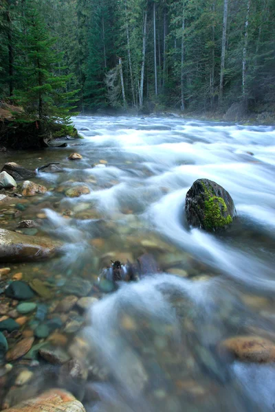 Snelle rivier. — Stockfoto