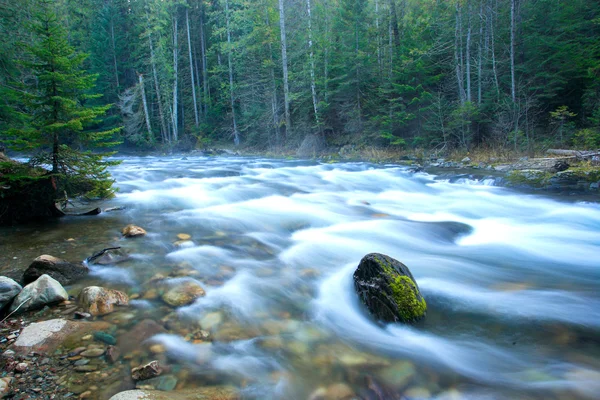 Ein Schneller Fluss Bundesstaat Washington Der Nähe Von Metallfällen — Stockfoto