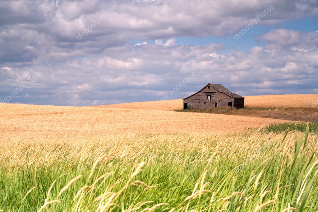 Rustic Barn In A Farm Field Stock Photo Gjohnstonphoto 4889934   Depositphotos 4889934 Stock Photo Rustic Barn In A Farm 