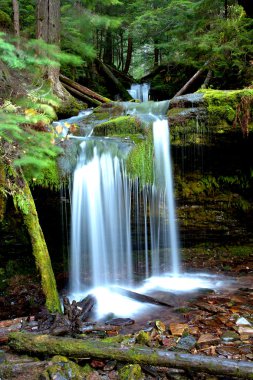 The picturesque Fern Falls located in northern part of Idaho near Pritchard. clipart