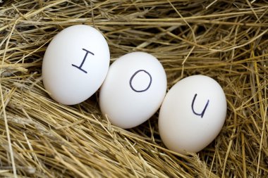 A conceptual image of an IOU in the nest egg. clipart
