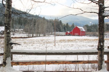 A fence and a tree nicely frame this red barn in a snowy field. clipart