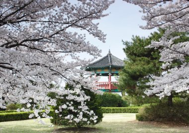 Korean Pavillion in a beautiful park. clipart