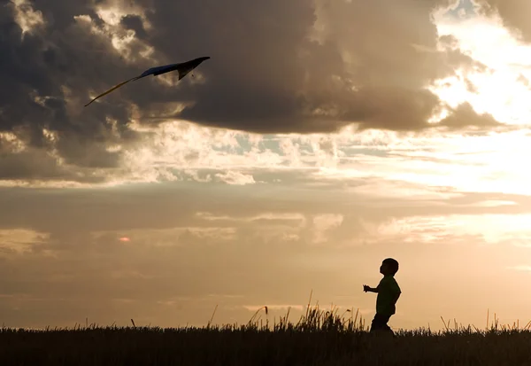 Ένα Μικρό Αγόρι Κάνει Μια Επιτυχημένη Kite Πτήση — Φωτογραφία Αρχείου