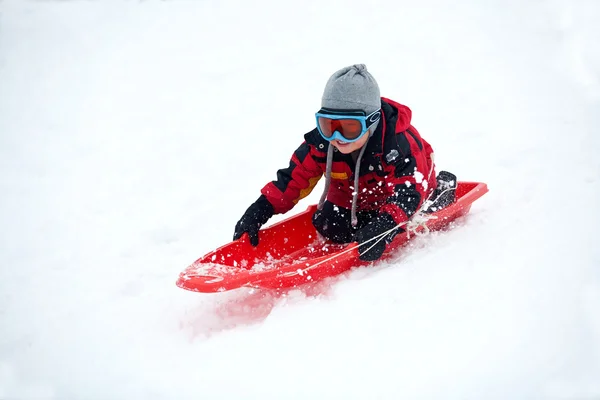 Having fun on a sled. — Stock Photo, Image