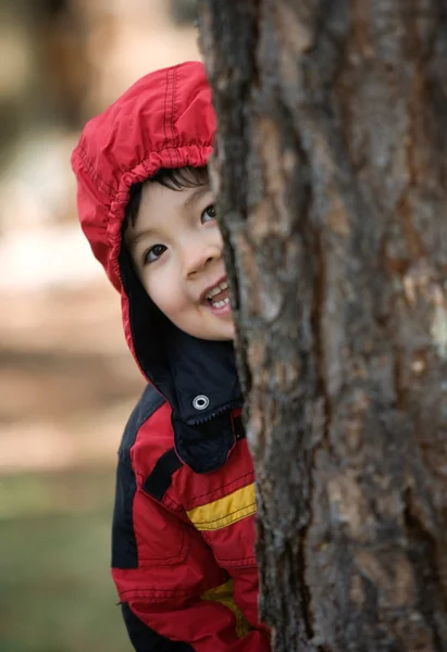 Malého Chlapce Kapucí Kabátu Vykukuje Zpoza Stromu — Stock fotografie