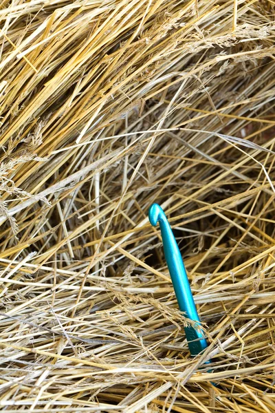 Large needle in a haystack.