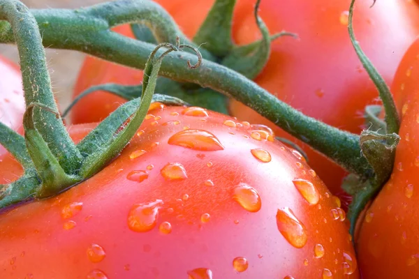 Een Close Van Tomaten Een Wijnstok Een Mand — Stockfoto