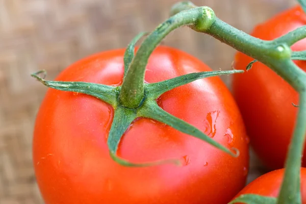 Fim Tomates Uma Videira Uma Cesta — Fotografia de Stock