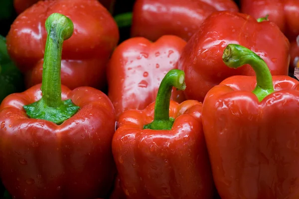 Leuchtend Rote Paprika Mit Grünen Stielen — Stockfoto