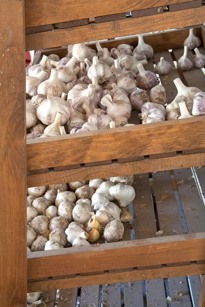 Garlic Sits Wooden Shelves Display Sale — Stock Photo, Image