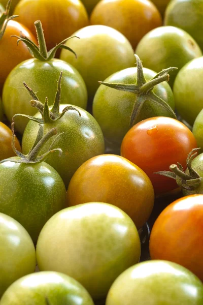 Vários tomates cereja . — Fotografia de Stock