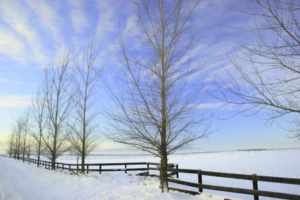 Inverno na pradaria — Fotografia de Stock