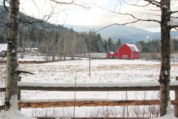 很好地框架这红谷仓在雪原围栏及一棵树 — 图库照片