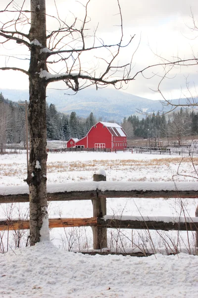 Barn by snowy field. — Stock Photo, Image