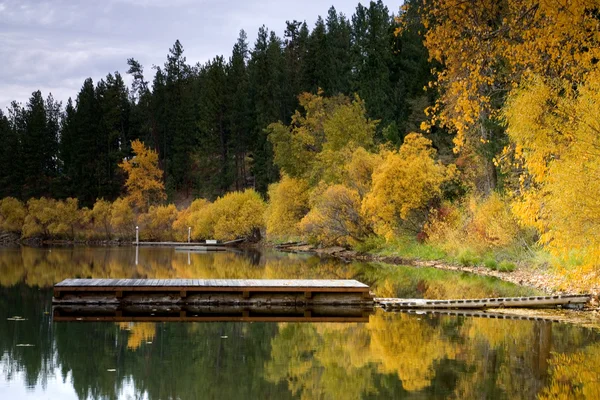 Água Calma Reflete Árvores Queda Coloridas — Fotografia de Stock