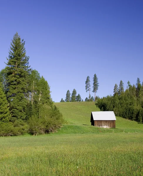 Small Barn Sits Middle Lush Green Farm Field — Stock Photo, Image