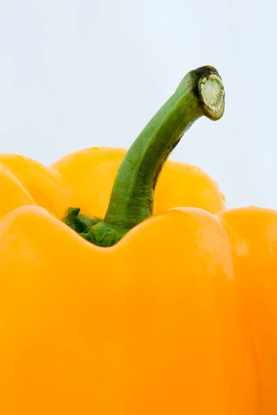 Green Stem Yellow Bell Pepper White Background — Stock Photo, Image