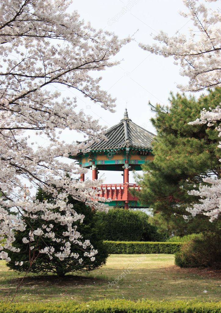 A traditional style Korean pavillion framed by trees in a park near Seoul, Korea.