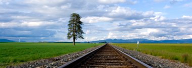 Panorama of tracks in the field. clipart