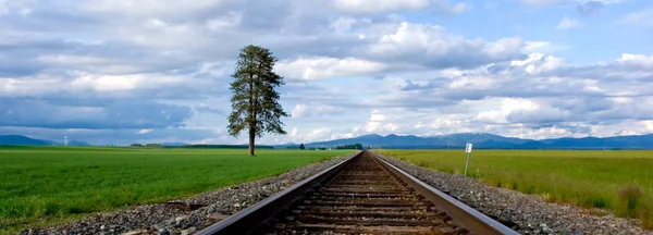 Panorama van tracks op het gebied. — Stockfoto