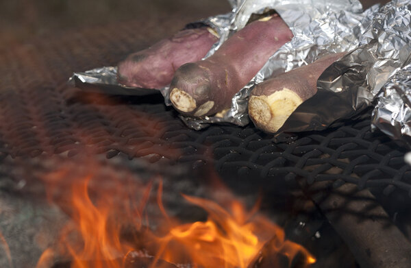 Sweet potatoes wrapped in aluminum foil are being cooked over an open fire.
