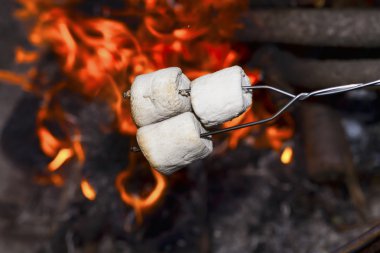 Marshmallows over the fire. clipart