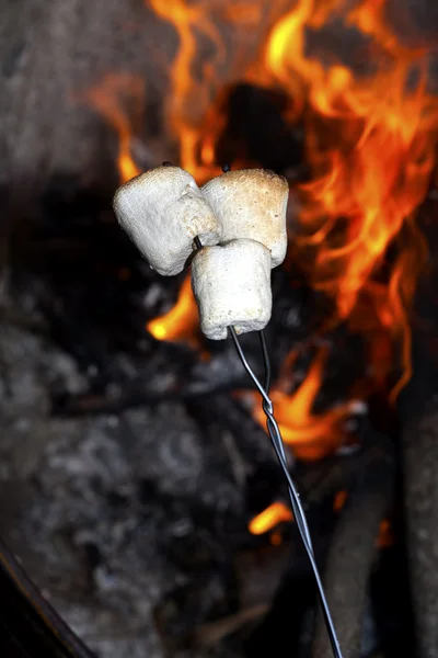 Prażenie marshmallows. — Zdjęcie stockowe