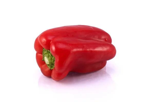 Röd paprika på vit. — Stockfoto