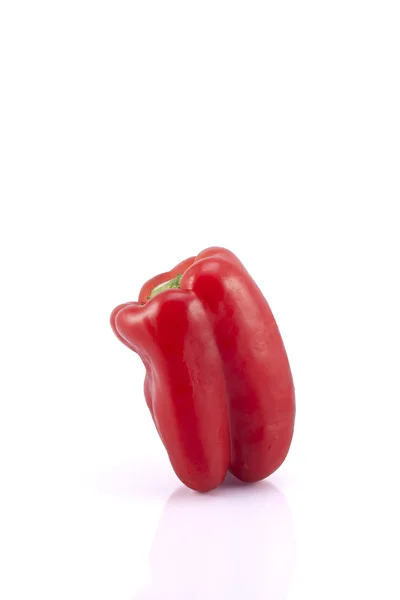 Röd paprika. — Stockfoto