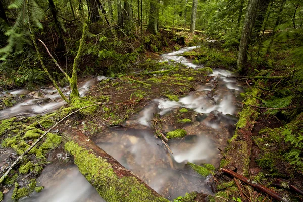 Mountain stream. — Stock Photo, Image