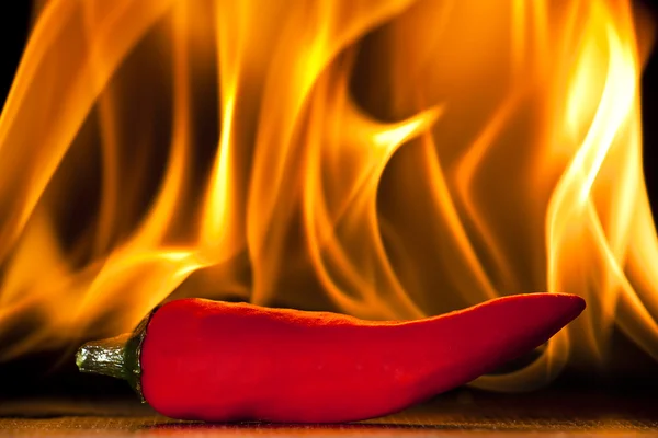Egy Egyetlen Piros Chili Paprika Lángoló Háttere — Stock Fotó