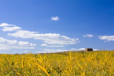 A haybale which is on the to of a hill , the feild is full of yellow grass. clipart