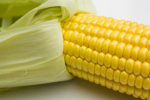 Maïs op de kolf — Stockfoto