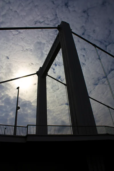 Sziluettjét Budapesten Erzsébet Híd — Stock Fotó