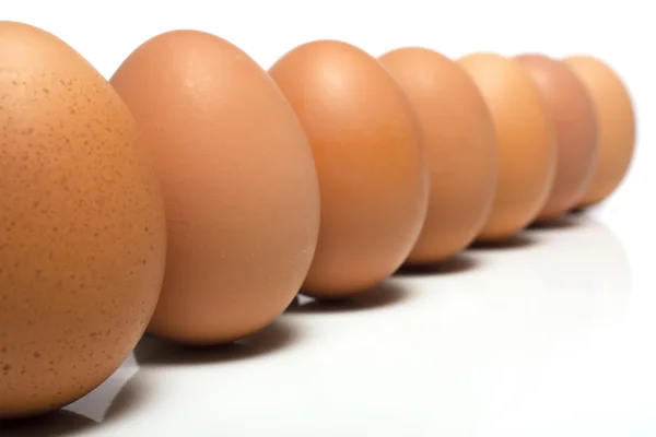 Eggs Standing — Stock Photo, Image
