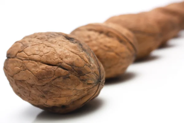 Walnuts in a row — Stock Photo, Image